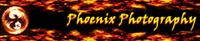 https://yba.ca/wp-content/uploads/sites/2062/2020/08/Logo-Phoenix-Photopgraphy-100.png