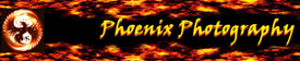 https://yba.ca/wp-content/uploads/sites/2062/2020/08/Logo-Phoenix-Photopgraphy-150.png