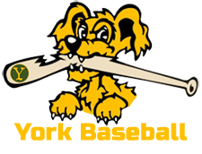 York Baseball Association