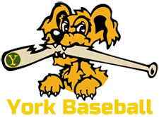 York Baseball Association