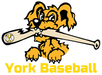 York Baseball Association
